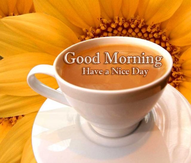 Coffee Tea Good Morning Photos 98