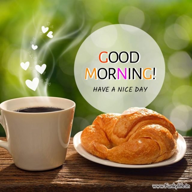 Good Morning 19