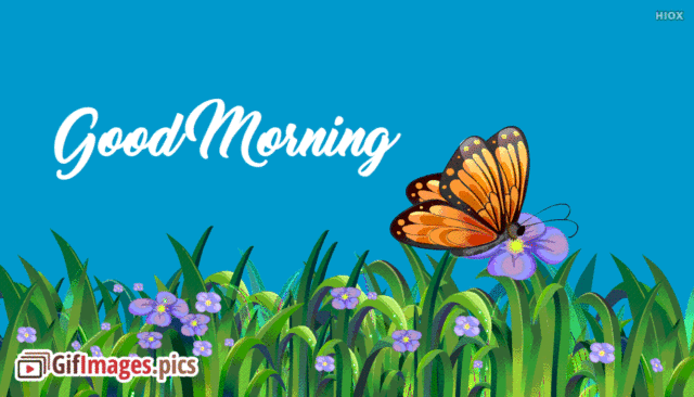 Good Morning Gif Butterfly 52650 186355