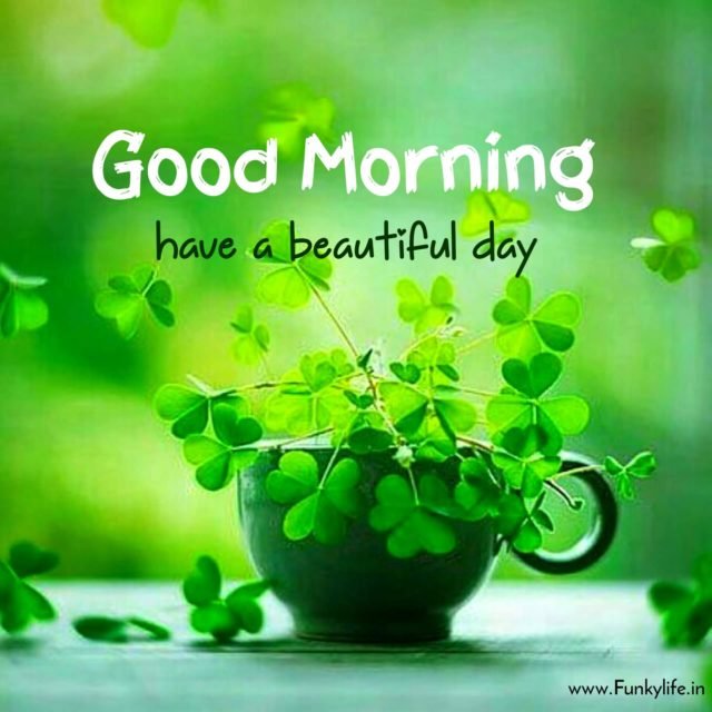 Good Morning Image 27