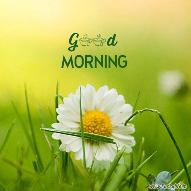 Good Morning Images 281