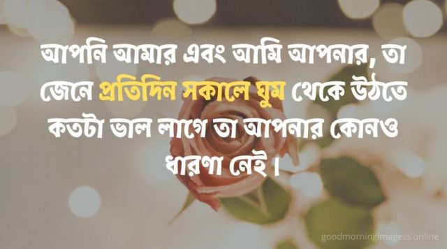 Good Morning Images With Bengali Quotes (3)