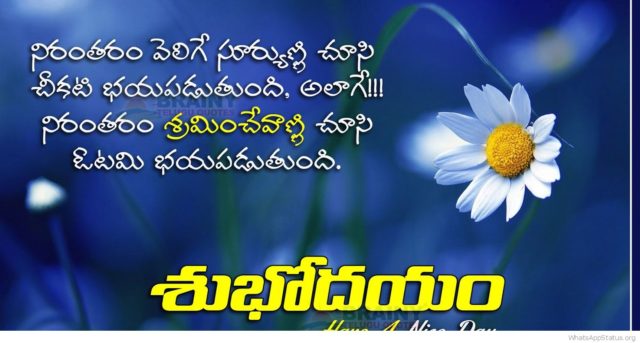 Good Morning Quotes Telugu8