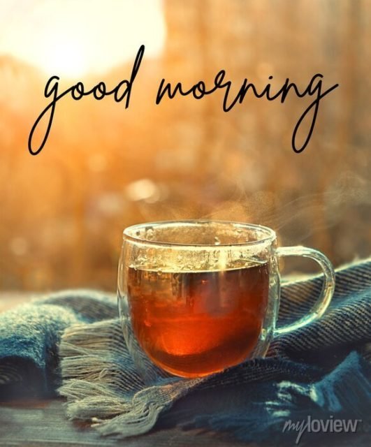 Good Morning Tea Cup And Scarf Nature Autumn Background Breakfast Fall Season Concept 700 225868191