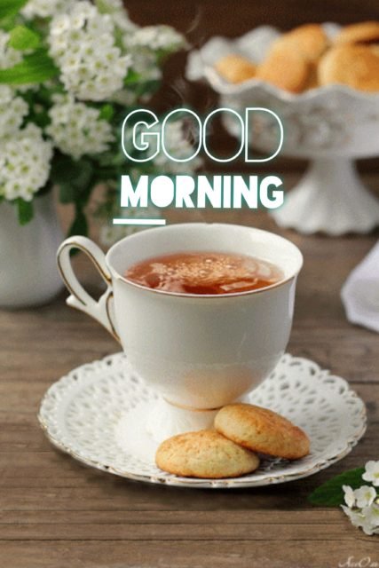 Good Morning Tea Images 13