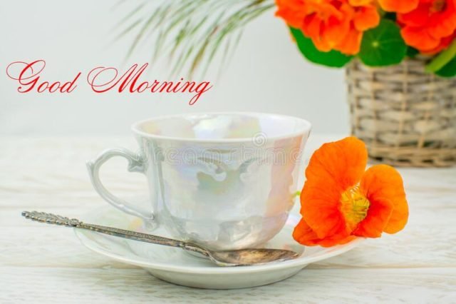  Good Morning Text Cup Coffee March Above Artistic Background Beautiful Breakfast Beauty Bloom 181511809