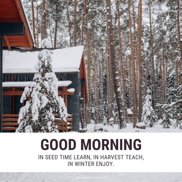 Good Morning Winter Images 18