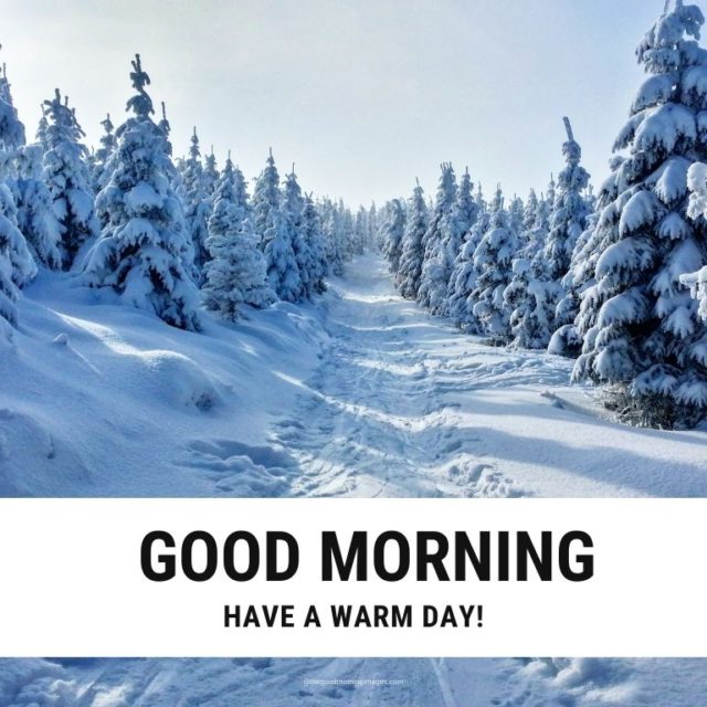 Good Morning Winter Images 3