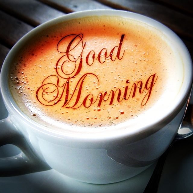 Good Morning Free Stock Images Photos Quotes 16