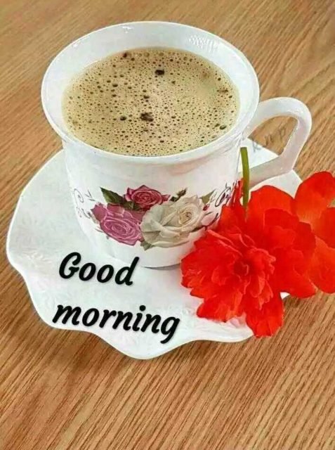 Goodmorningtea 365cae60 226f 43cc 80a0 40302916ce07 E7257b83 0487 4562 8bd6 6ace59b3b504 Cmprsd 40