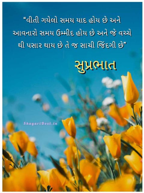 Gujarati Good Morning Life Quotes