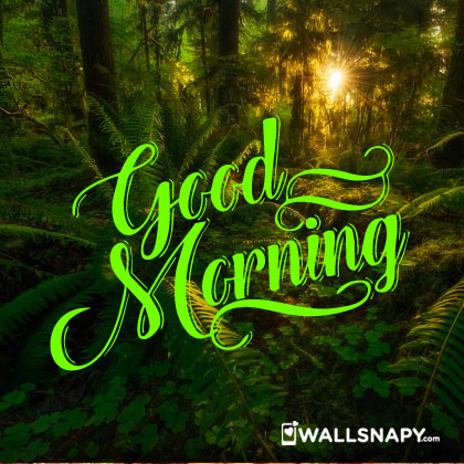 Whatapp Good Morning With Green 1090545