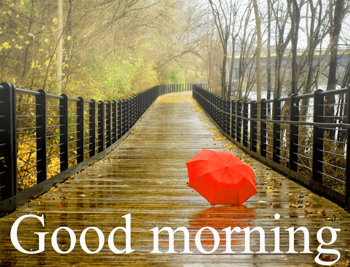 50+ Umbrella Good Morning Rainy Day Images - Good Morning Wishes
