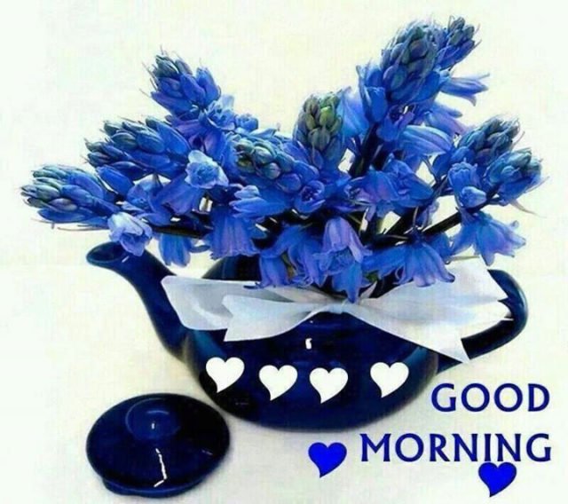 171858 Blue Good Morning Flowers