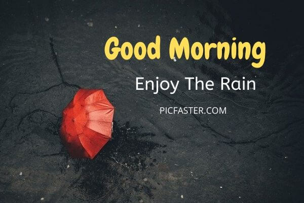 Beautiful Rainy Good Morning Images, Photos [2020] (6)