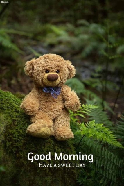 Cute Good Morning Teddy Bear Image 683x1024