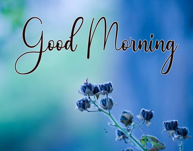 Free Good Morning Pics Download For Friend