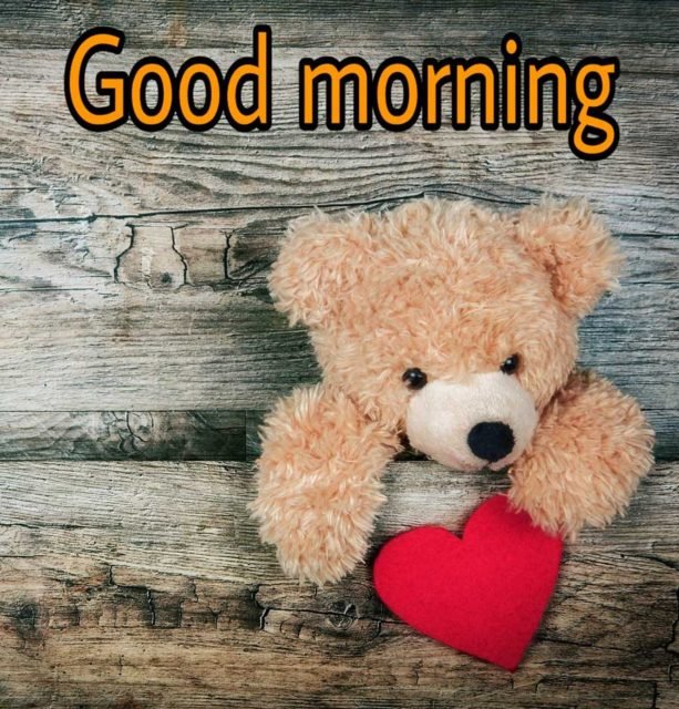 Free Teddy Bear Good Morning Wallpaper Status