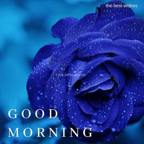 Good Morning Blue Flowers 4