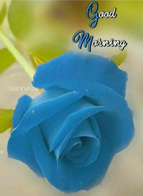 Good Morning Blue Flowers 6