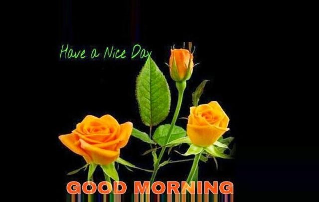 Good Morning Full Size Images 284