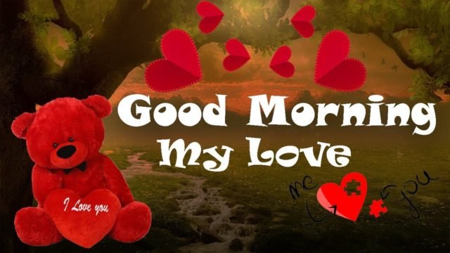 Good Morning & I Love You Quotes Images2