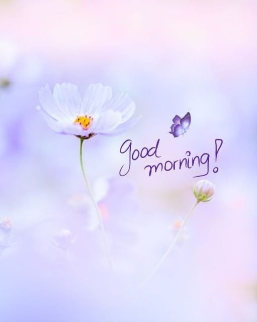 Good Morning Images 14