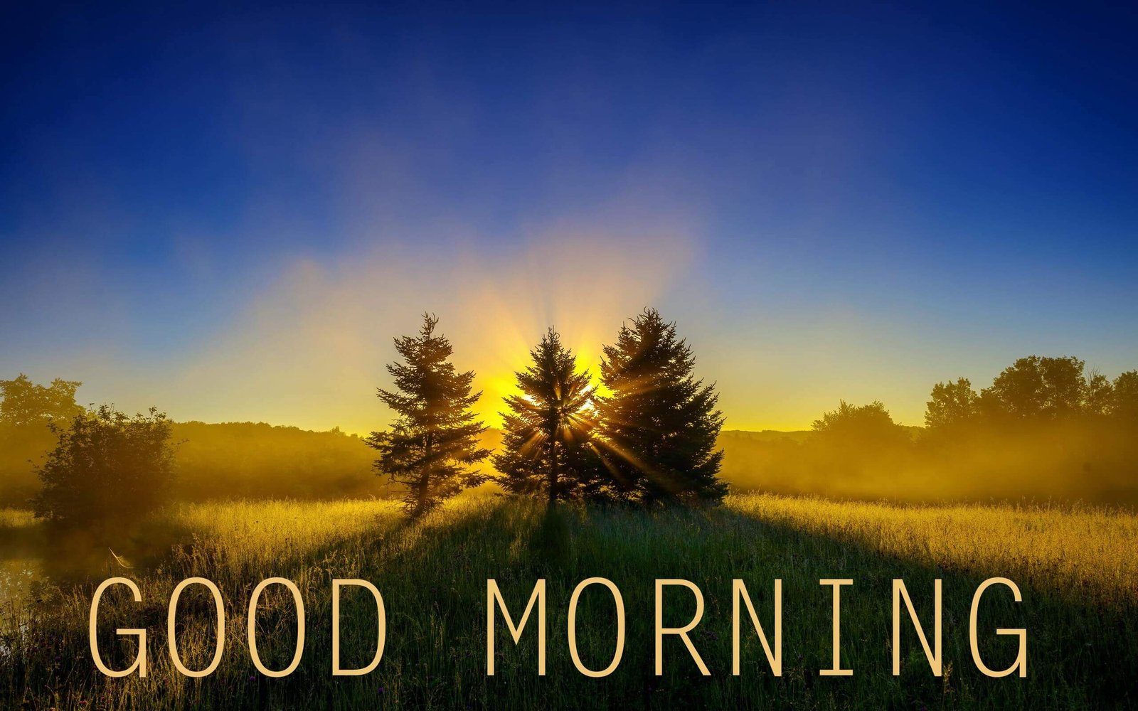 90 Sunrise Good Morning Images Wishes Good Morning Wishes