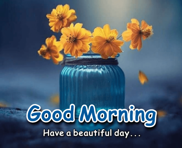 Good Morning Photos Beautiful Good Morning Images Collection Sub-Kuch Web