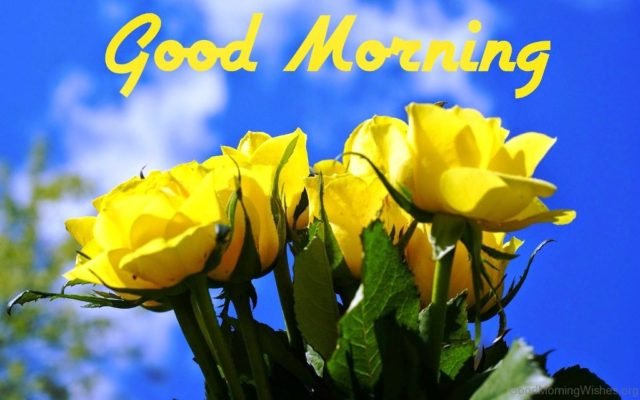 Good Morning Pic 5