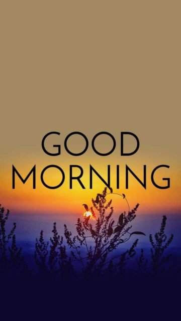 Good Morning Summer Images 18