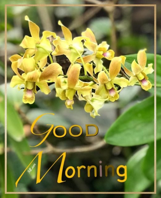 Good Morning Summer Images 20