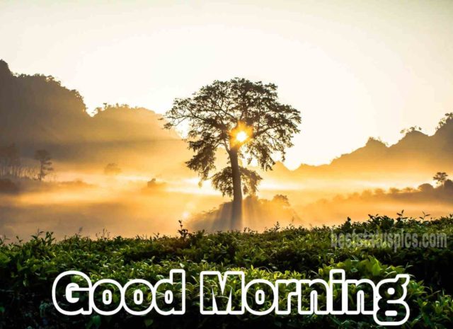 Good Morning Sunrise Images Whatsapp 18