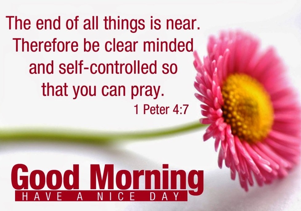 60+ Good Morning Quotes From Bible & Images - Good Morning Wishes