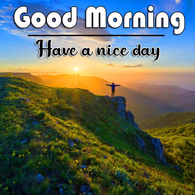 Good Morning Wishes Pics Wallpaper With Nature