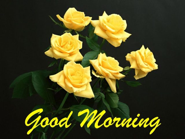 Good Morning With Bunch Of Yellow Roses Wm13068
