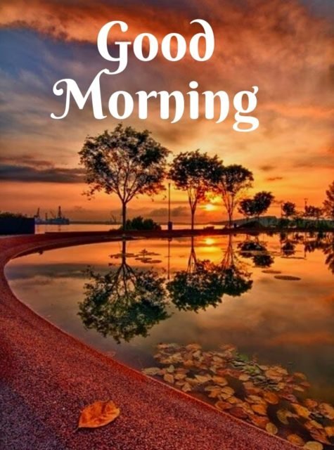 Good Morning Nature Images 10