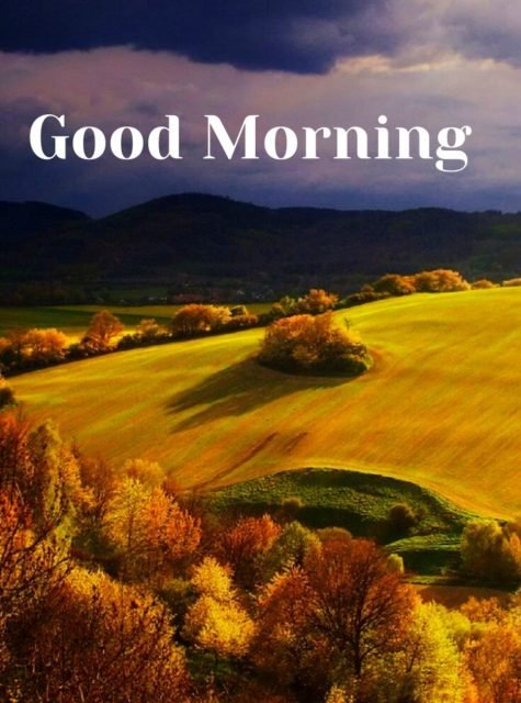 Good Morning Nature Images 17