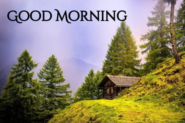 Good Morning Wallpaper 11