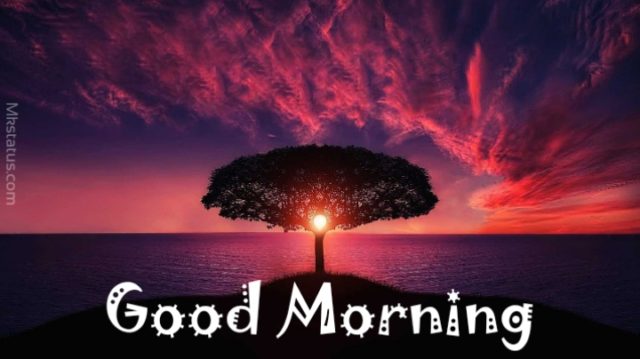 Good Morning Nature Images 11