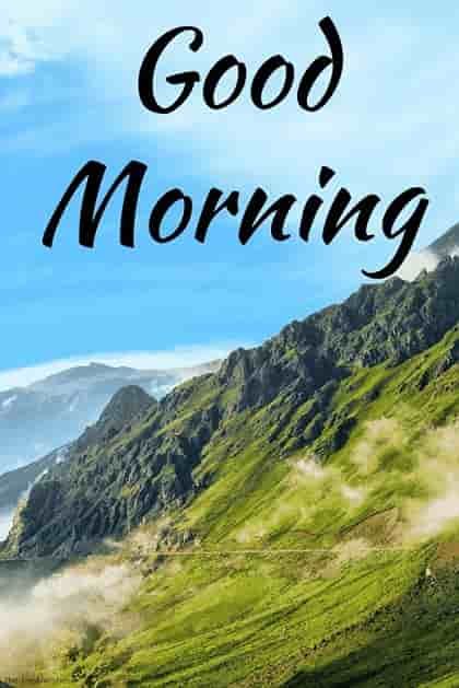 Good Morning Nature Images12