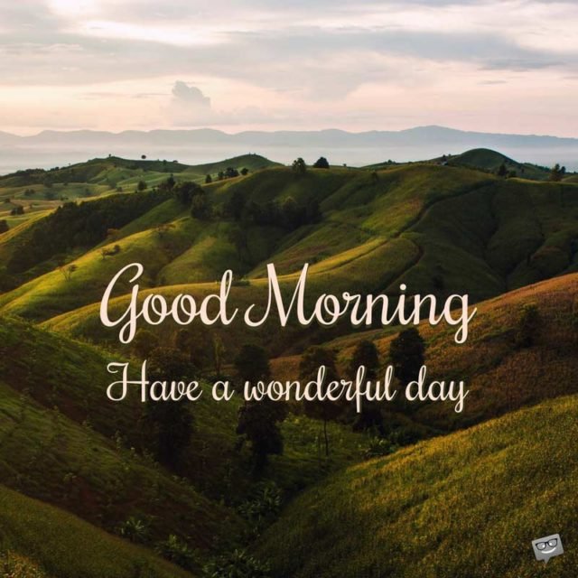 Have A Wonderful Day