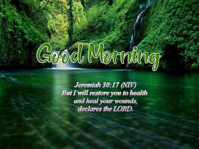 Latest Free Good Morning Bible Quotes Pics Images Download