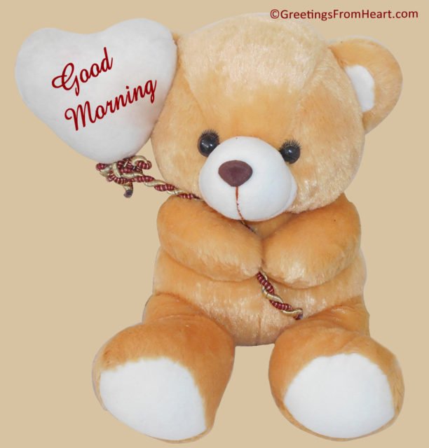 Lovely Teddy Image Good Morning Wm1848