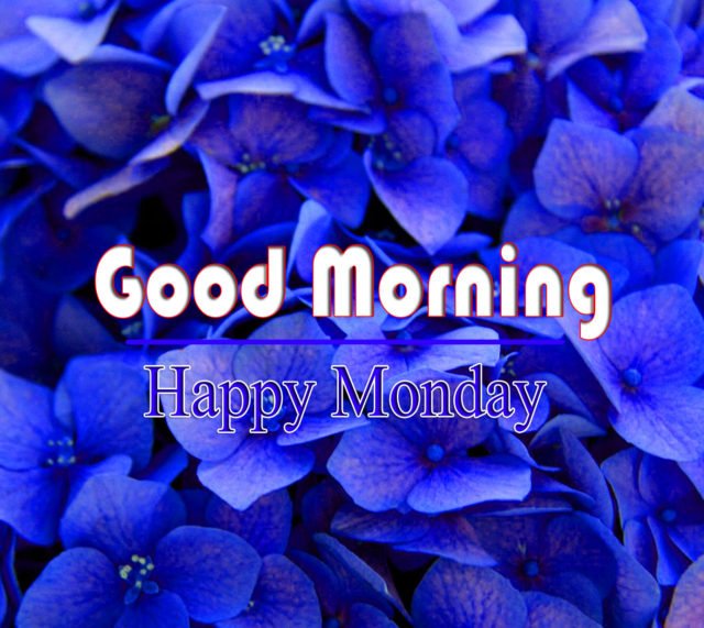 Monday Good Morning Images For Friend 1