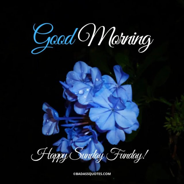Morning Happy Sunday
