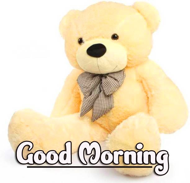 Teddy Bear Good Morning Images 4