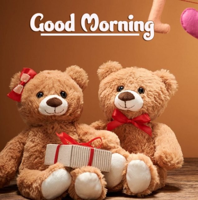 Teddy Bear Good Morning Images 77 1018x1024