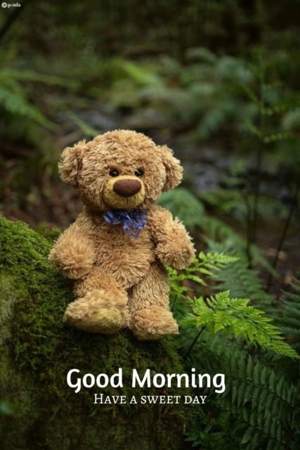 Teddy Bear Good Morning Images 3