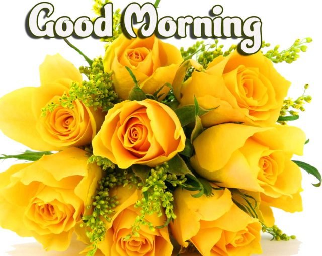 Yellow Flower Good Morning Wallpaper